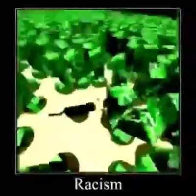 Racism