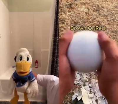 isso me lembrou o madeira atrasando 0,01s da run