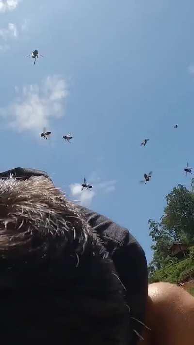 to remain calm and in the same spot