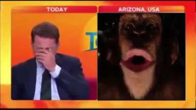 Look at that funny monke.mp4