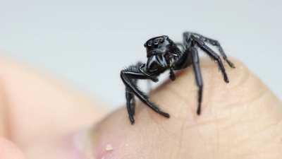 This lanky Boi really needs some upsies....