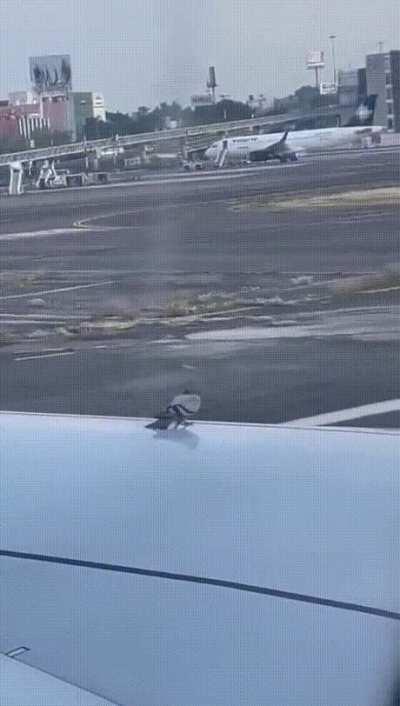 Is this what my instructor means by birdnoullis principle?