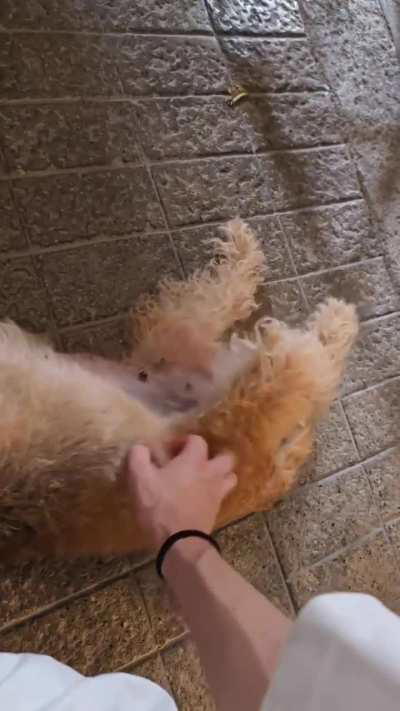 240724 Felix Instagram Update 