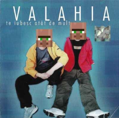 Valahia-Interzis Minorilor 2(villager ai cover)