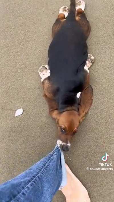 She’s to tied to walk.