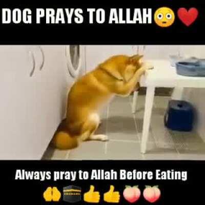 allah
