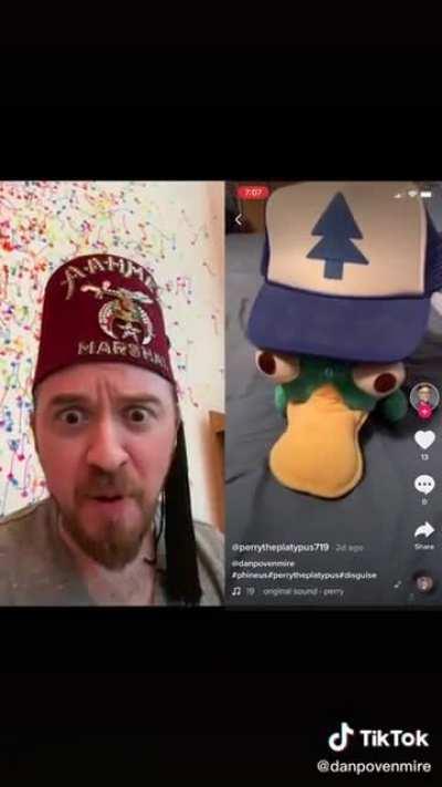 DIPPER THE PLATYPUS?! From @danpovenmire TikTok