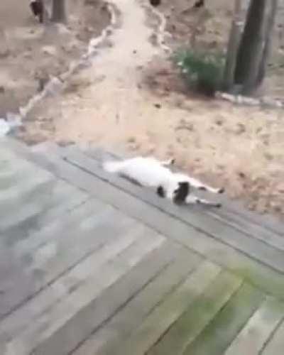 Lorena tomando susto