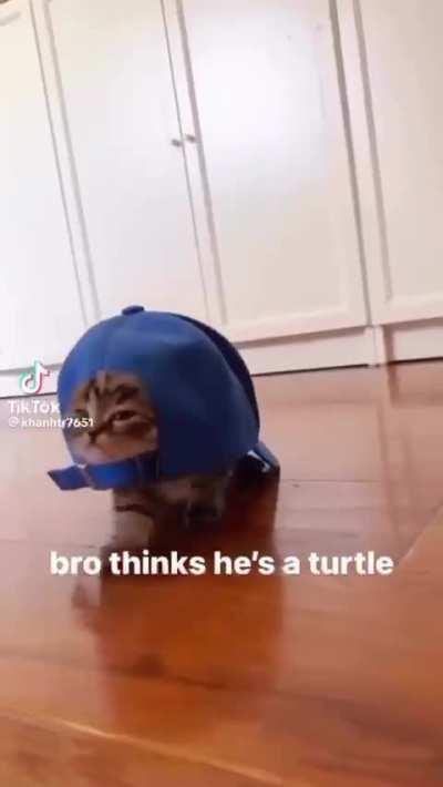 He a turtle