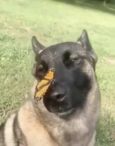 Here's a little something to brighten up your day 💕🌻