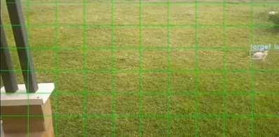 Deterent for free range neighborhood chickens. FUCK YOU CHICKENS!!!