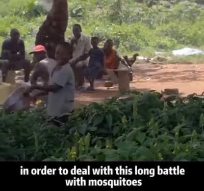 Wake up babe.. new protein source just dropped