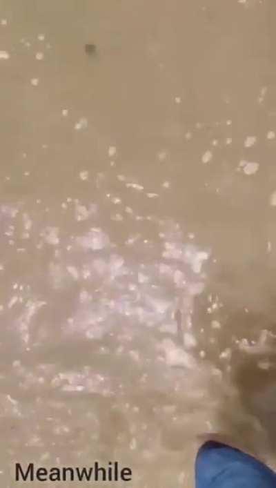 WCGW trying to copy a car ad