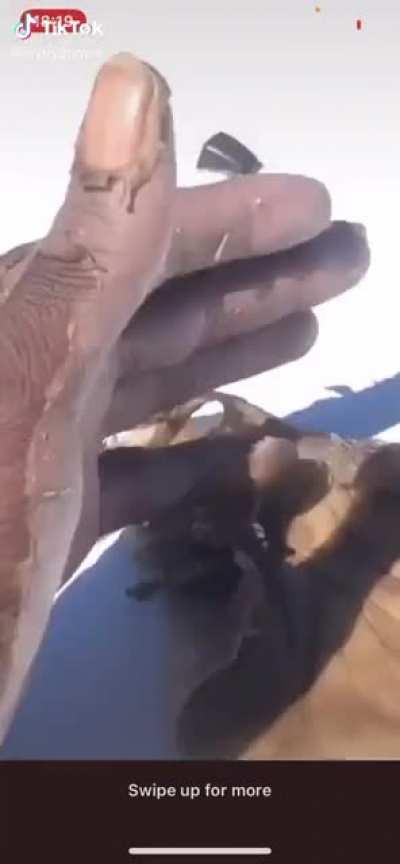 Idk what does this but damn