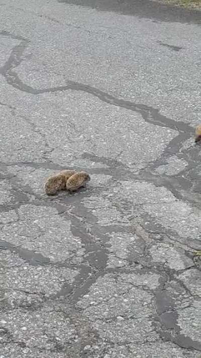 Das Leben als Mama/Papa ist nicht immer leicht