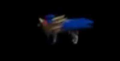 guys my dog is spinning after i put very low effort into making it spin!11