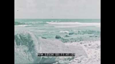 cursed_promised_land