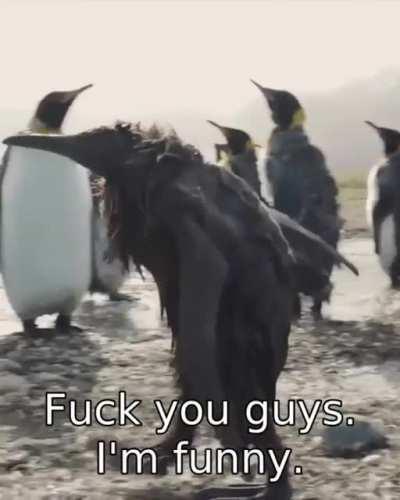 Fuck you guys i am funny.