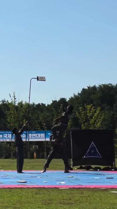 Republic of Korea's Army Tier 1 Taekwondo Demo Team