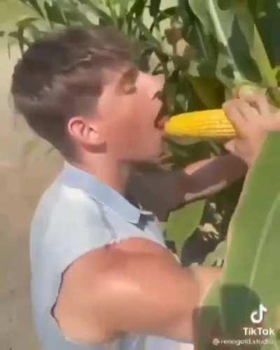 Corn