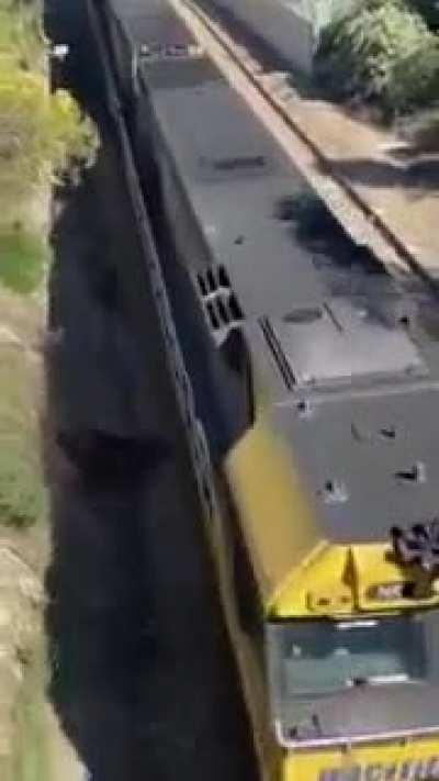 Man save dog from train accident