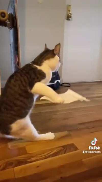 Performing arts kitty