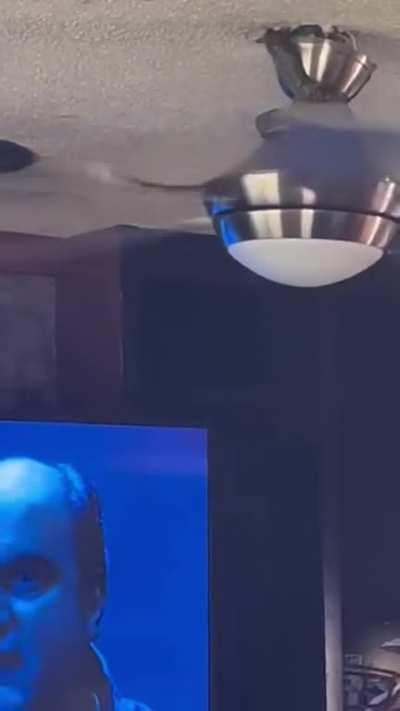 Laughed and Cringed.