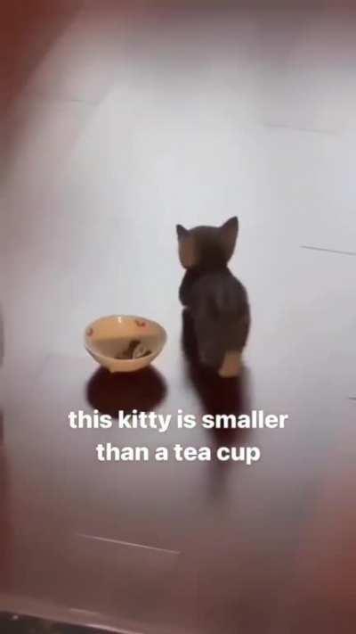 This criminal is flaunting like he owns the place