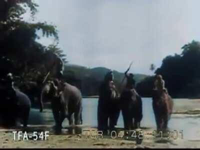 Charming Ceylon (1931) colorized by me