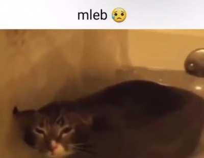 mleb