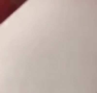 Don’t try this at home