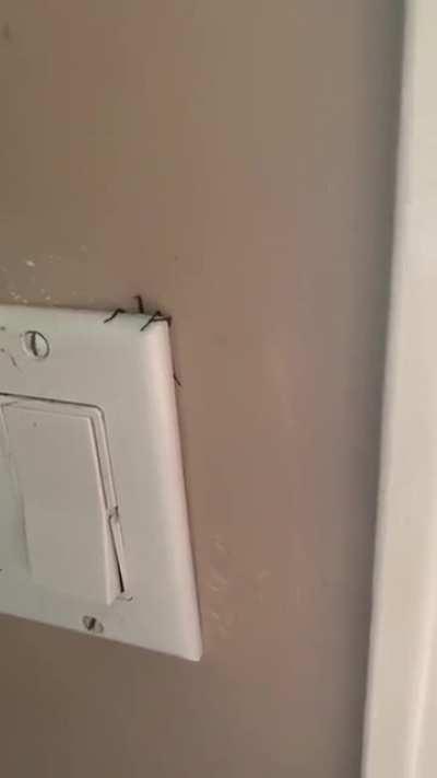 Never turning that light on again