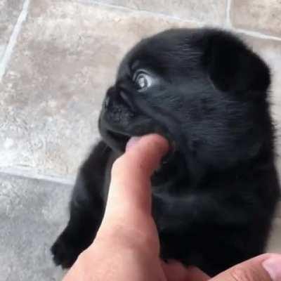 Rare footage of baby Edgar *totally not fake*
