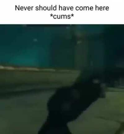 Never(ule) should have come here