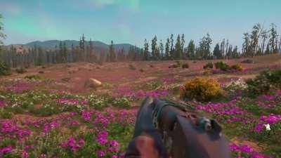 The way it looked at me almost made me feel bad.