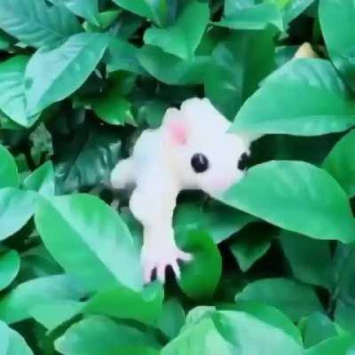 Where Pokemon live...