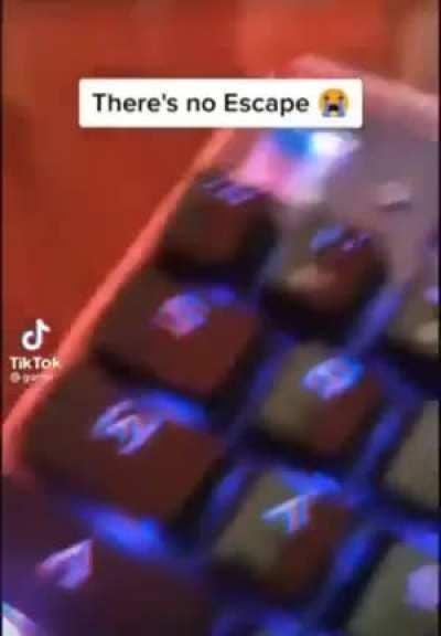 day 90 of posting memes