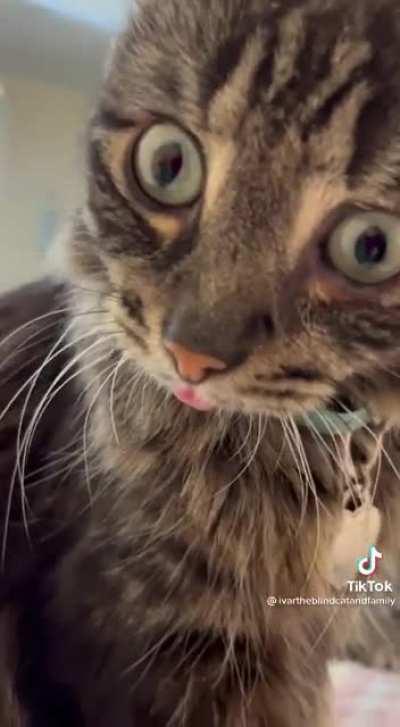 Ivar is blind, and has an absurd derpy face!