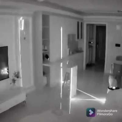 Fellow felines, why is my podium moving!?