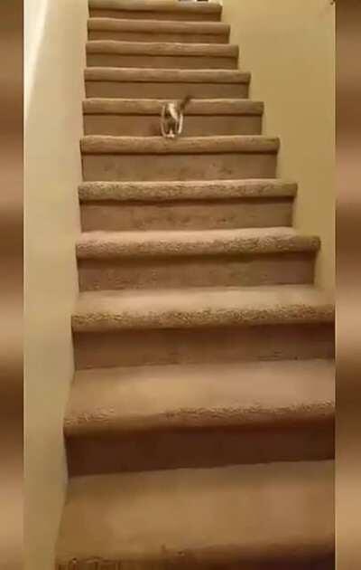 1 life gone, 8 to go