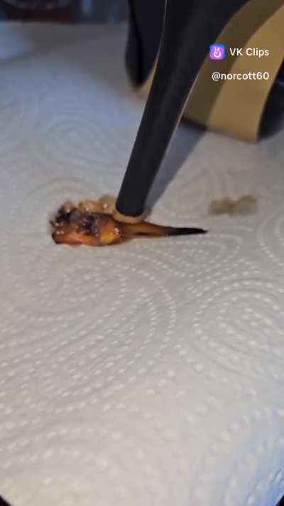 this little fish can't handle anything 😮‍💨👢🐟