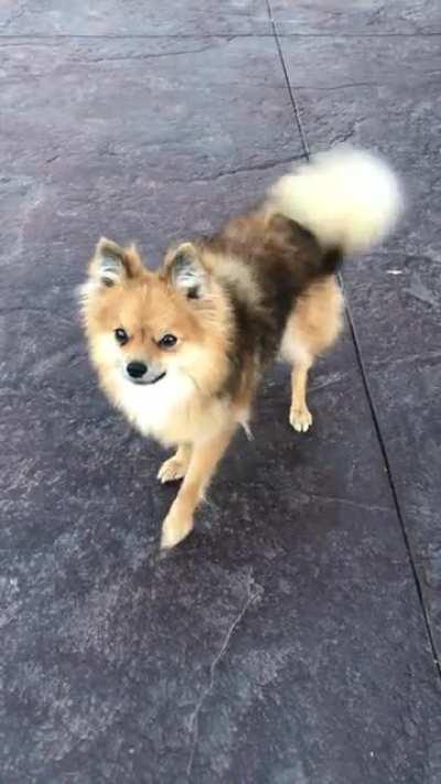 Valhalla is trying to tell us something…