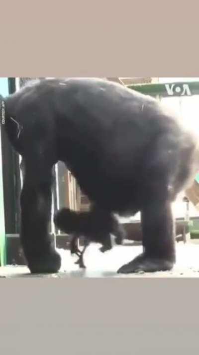 Damn... I have so many questions.🙃.