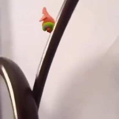 Patrick is in a better place now.