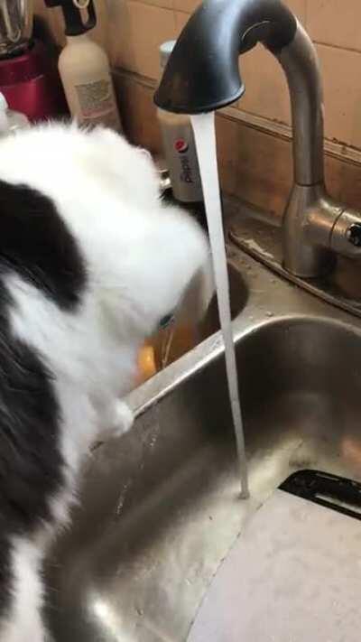 Water taps