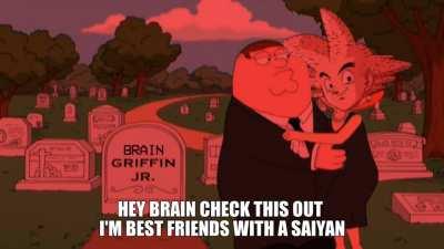 Dragin Bald Z Meets The Simpson