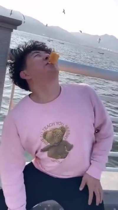 Man tries kissing a seagull