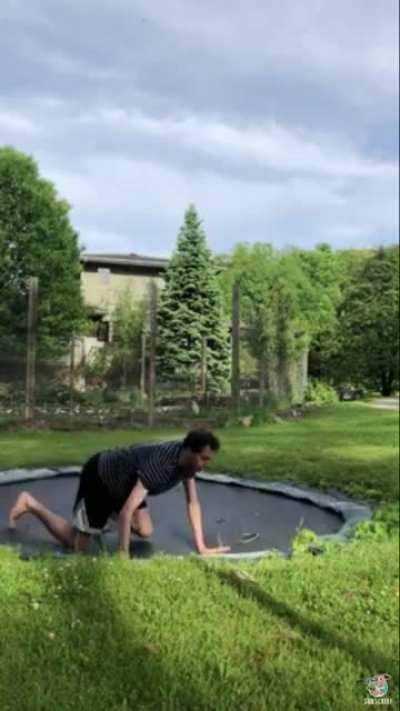 Snake on a trampoline