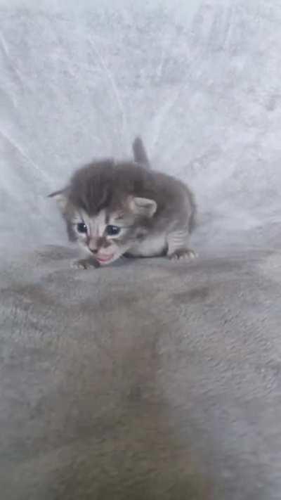 Like a periscope on a submarine