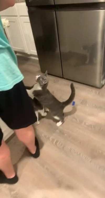 Was cutting chicken and….